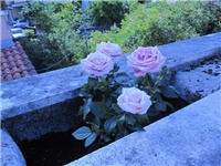 87268406-gradac..5.mj 150.jpg
